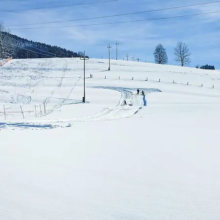 Holiday Flat - Dal01521-p * Oy-Mittelberg